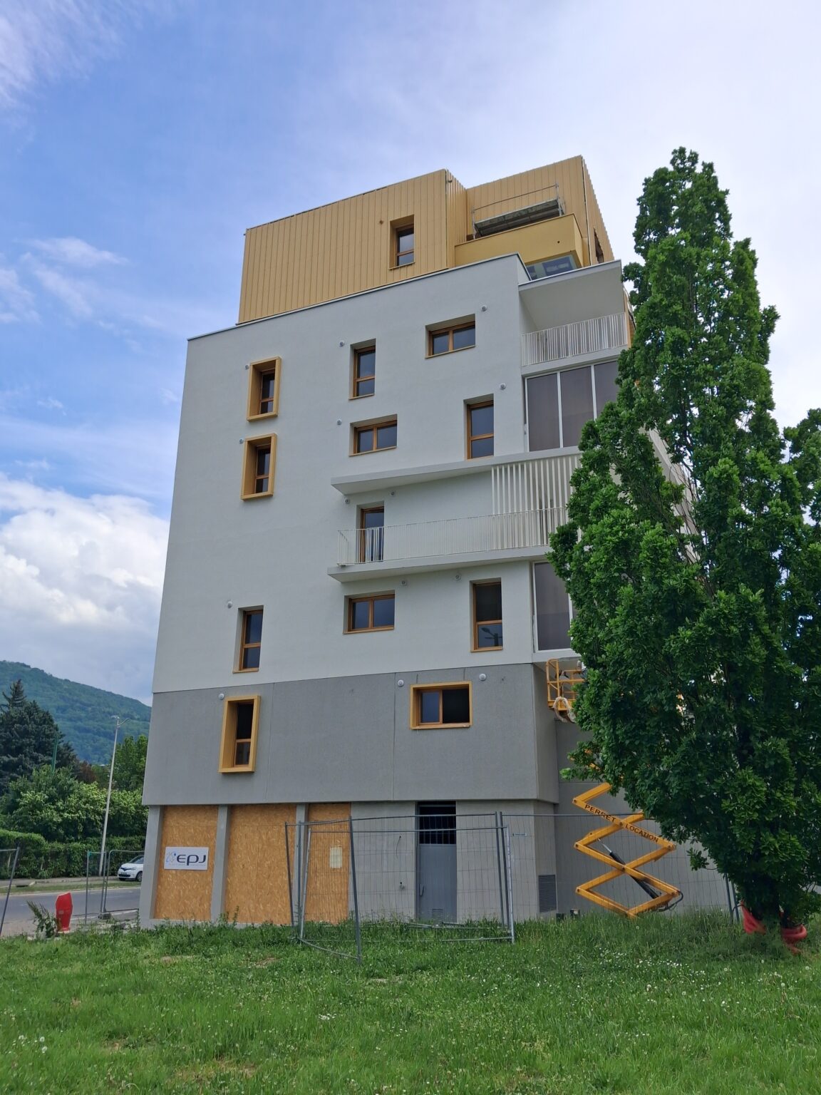7
